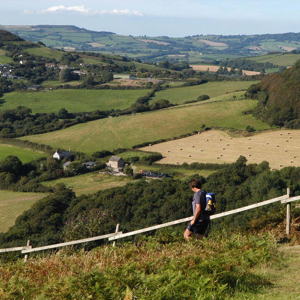 Dorset Rambling Ramblers Walk Jurassic Coast